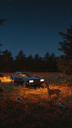 Deer and car in a field of flowers at night