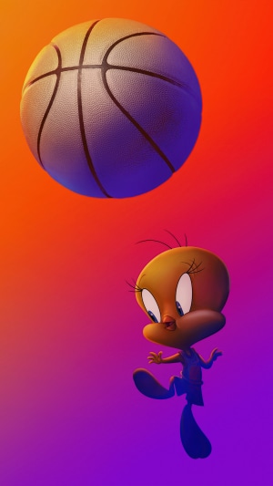 Tweety Bird and Basketball from Space Jam: A New Legacy