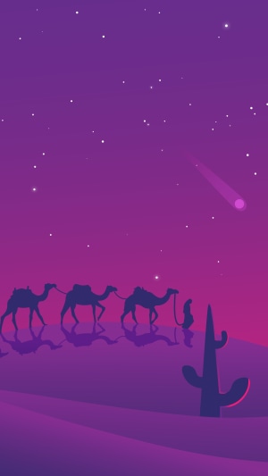 Camels walking through a desert at night
