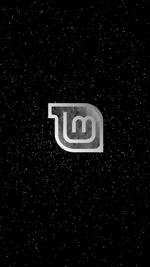 Linux Mint logo on a starry background