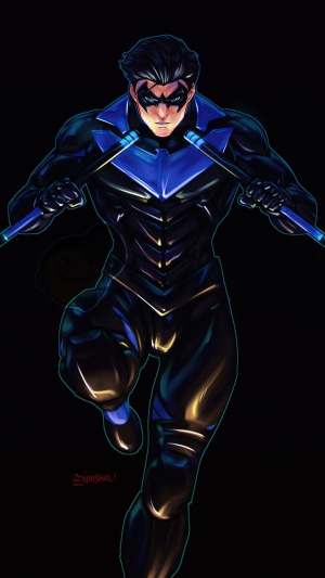 Nightwing artwork by artist