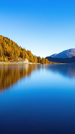 Autumn trees reflecting in a calm lake with mountains