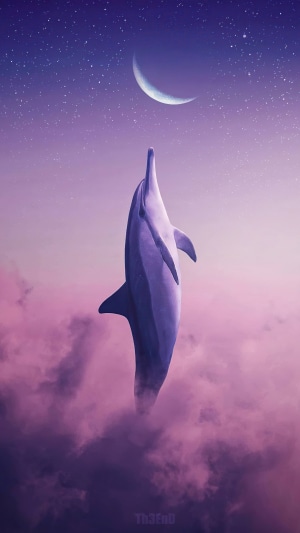 Dolphin leaping towards a crescent moon in a starry sky