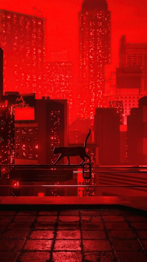 Black cat on a railing in a red city at night
