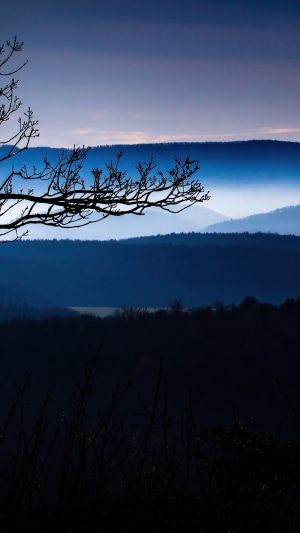 Silhouetted Tree Branches Over Blue Mountains at Dusk