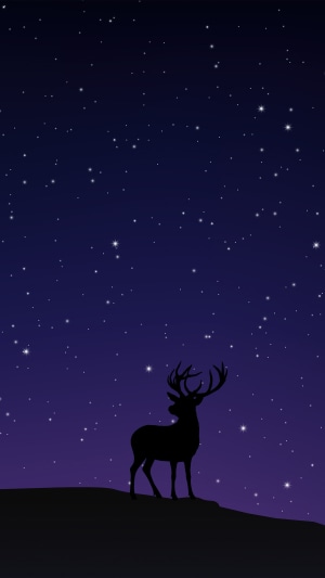 Minimalist deer silhouette against starry night sky 4K