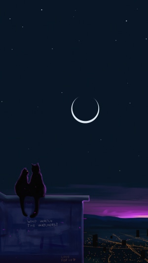 Two cats on a rooftop watching the night sky