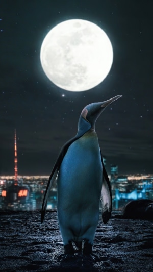 Penguin in front of a full moon and city skyline