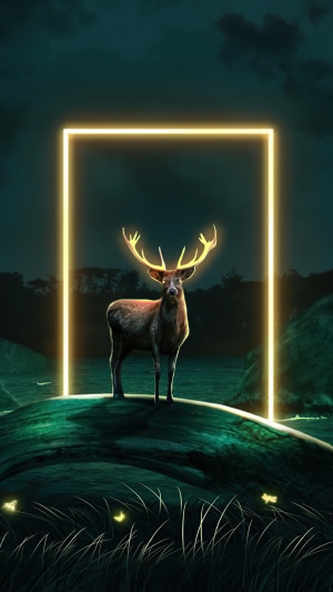 Deer standing in a glowing rectangle