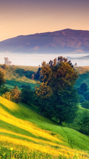 Sunrise over misty mountains and rolling green hills