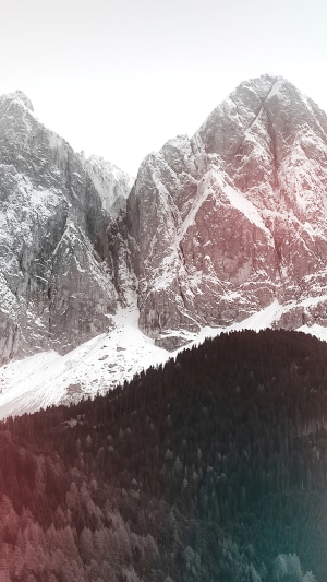 Snow-covered mountains and forest