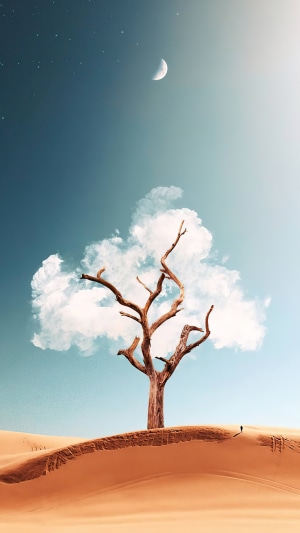Dead tree with clouds in a desert landscape