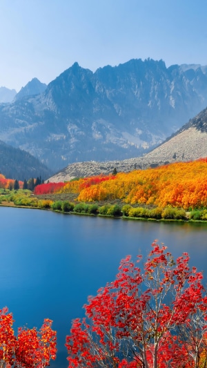 Autumn lake with colorful trees and mountains