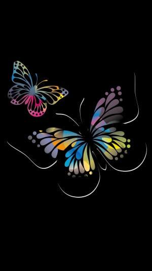 Two colorful butterflies on a black background