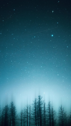 Starry night sky over a misty forest