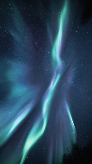 Aurora Borealis in a Starry Night Sky