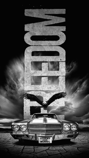 Artwork of a car, eagle, and the word FREEDOM
