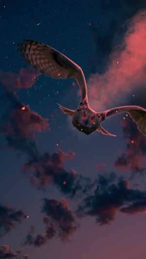 Owl flying in a starry sky with clouds