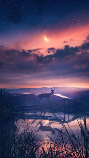 Deer by a lake at sunset with crescent moon