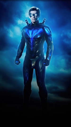Nightwing from DC Comics