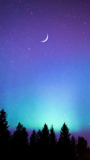 Night sky with crescent moon, stars, and aurora over trees