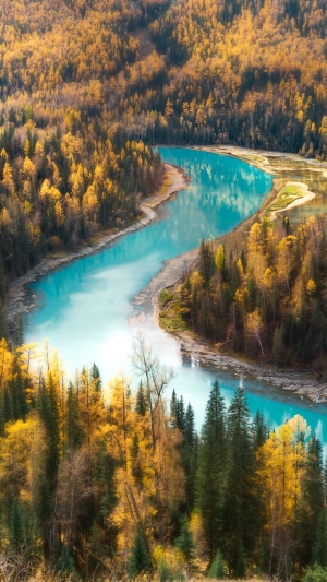 Turquoise river winding through autumn forest 4K