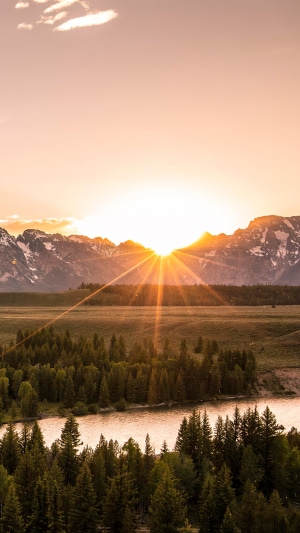 Sunrise over snow-capped mountains and forest
