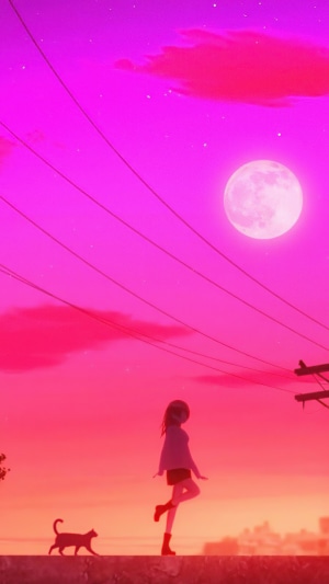 Anime girl and cat on rooftop at sunset