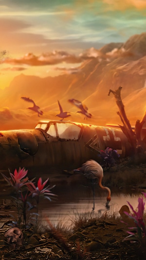 Flamingo by crashed airplane at sunset