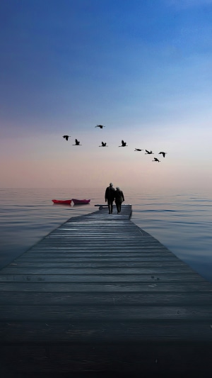 Couple walking on a pier with birds flying overhead