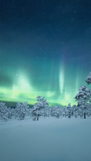 Aurora Borealis over snow-covered trees in Finland 4K