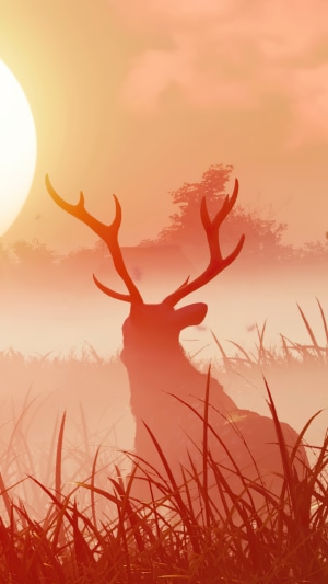 Deer in a misty forest at sunset