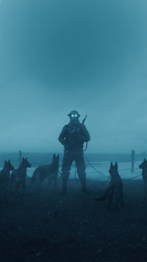 Soldier with dogs in a foggy landscape