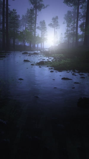 Misty forest with a stream at night 4K