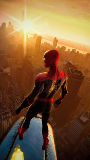 Spider-Man from Marvel overlooking a city at sunset