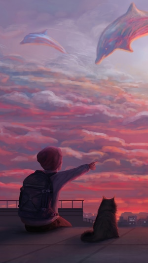 Boy and cat watching sky dolphins at sunset