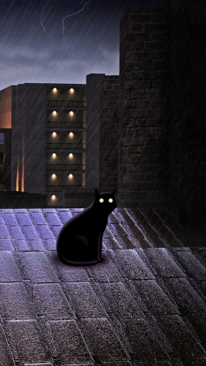 Black cat on a rooftop during a thunderstorm
