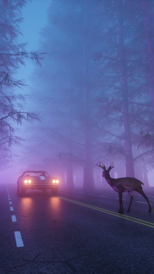 Deer on road with car in foggy forest