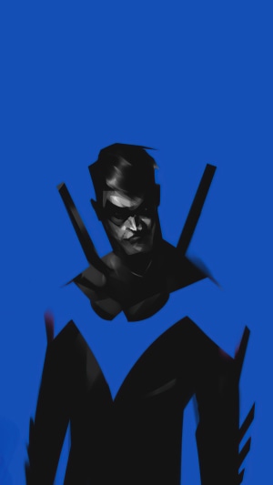 Nightwing from DC Comics
