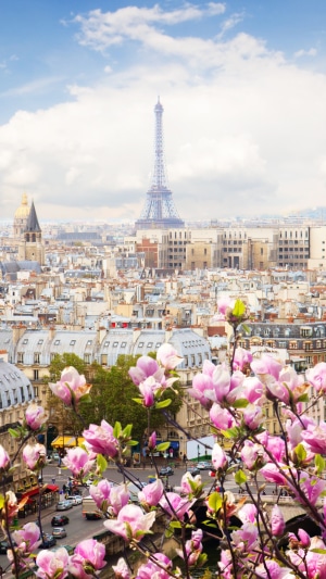 Eiffel Tower and Paris cityscape with blooming magnolia trees