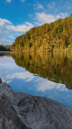 River with autumn trees and reflection