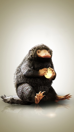 Niffler from Fantastic Beasts and Where to Find Them 4K