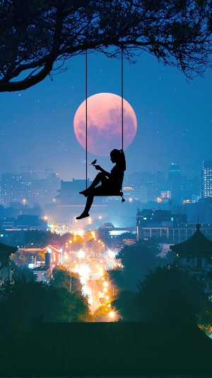 Silhouette of a girl on a swing with a bird and the moon