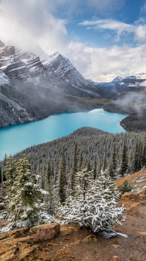Turquoise Lake Surrounded by Snowy Mountains and Forest