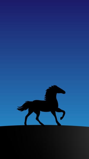 Silhouette of a horse on a dark hill against a blue gradient sky