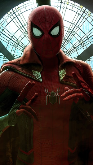 Spider-Man in his suit with a spider emblem