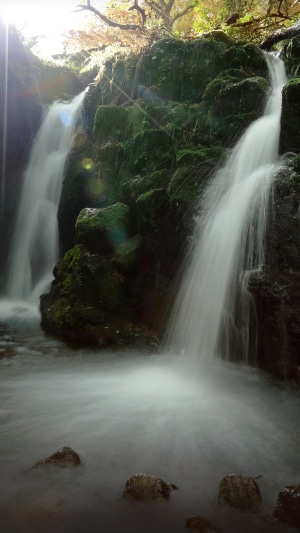 Waterfall in nature, 4K