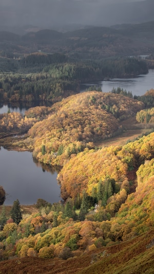 Autumn forest and lake landscape, 4K