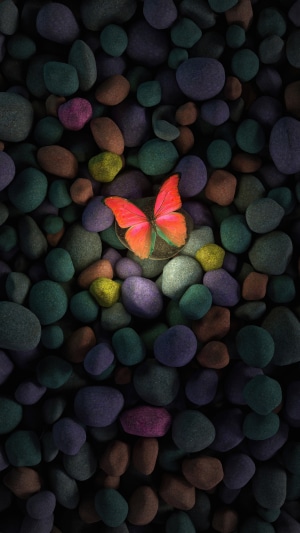 Butterfly on colorful rocks, digital art 4K