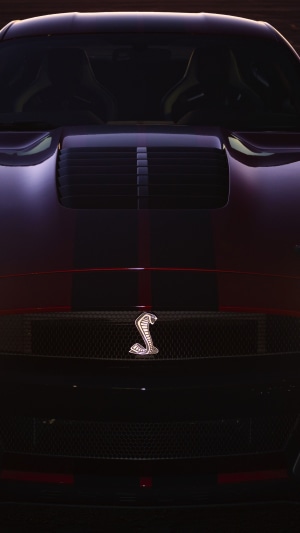 Ford Mustang Shelby GT500 4K